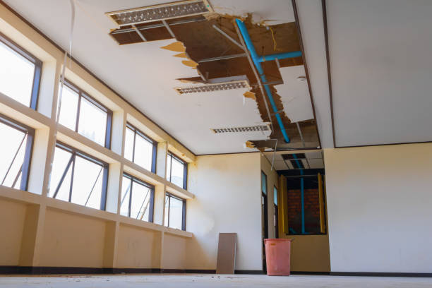 Best Carpet water damage restoration  in South Connellsville, PA