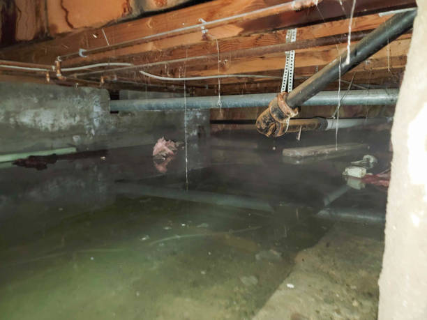 Best Flood damage cleanup  in South Connellsville, PA