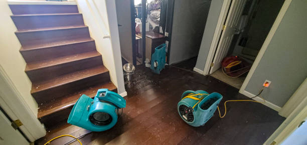 Best Ceiling water damage repair  in South Connellsville, PA