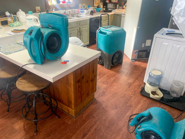 Best Professional water damage repair  in South Connellsville, PA