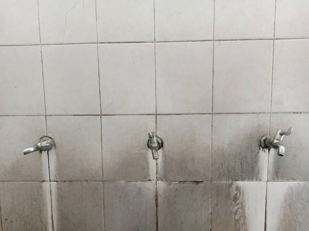 Best Fire Damage Restoration  in South Connellsville, PA