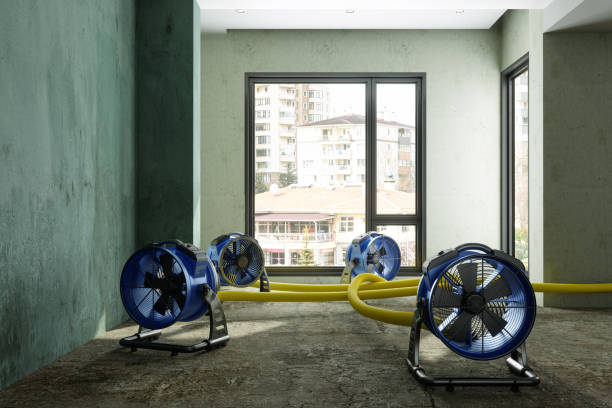 Best Emergency water damage restoration  in South Connellsville, PA