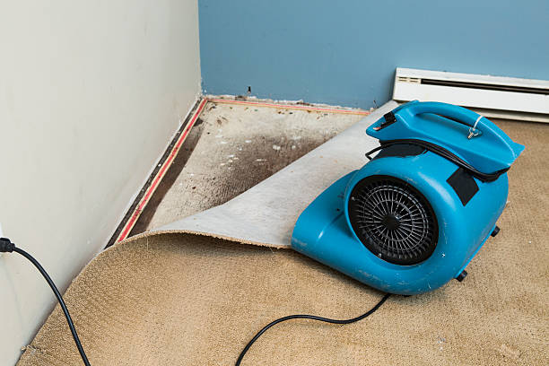 Best 24/7 water damage repair  in South Connellsville, PA
