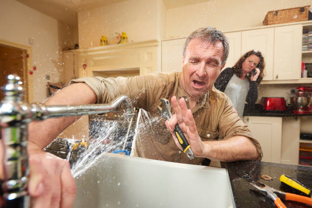 Best Flooded house restoration  in South Connellsville, PA